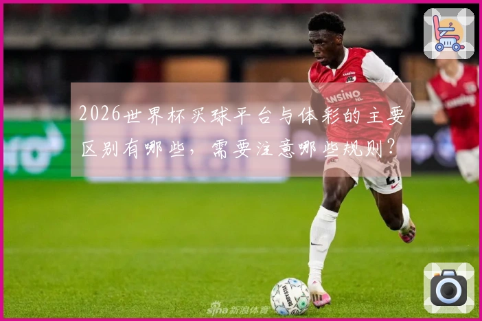 2026世界杯买球平台与体彩的主要区别有哪些,需要注意哪些规则?