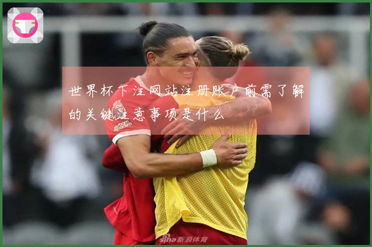 世界杯下注网站注册账户前需了解的关键注意事项是什么