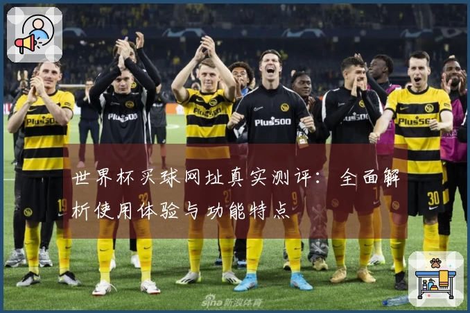 世界杯买球网址真实测评：全面解析使用体验与功能特点