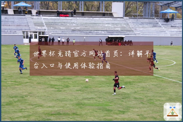 世界杯竞猜官方网站首页:详解平台入口与使用体验指南