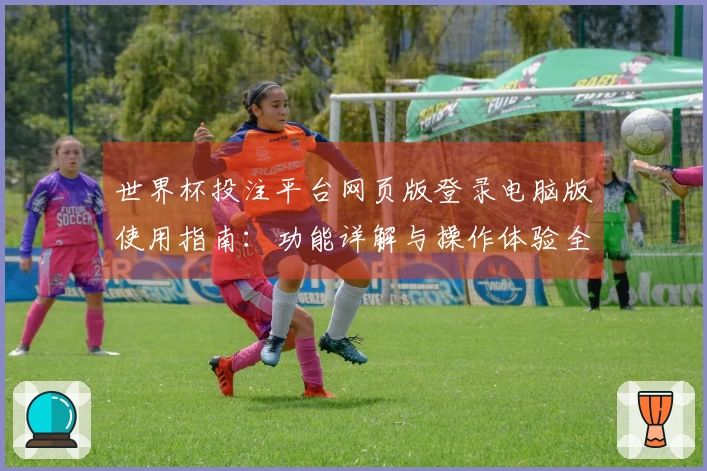 世界杯投注平台网页版登录电脑版使用指南：功能详解与操作体验全解析