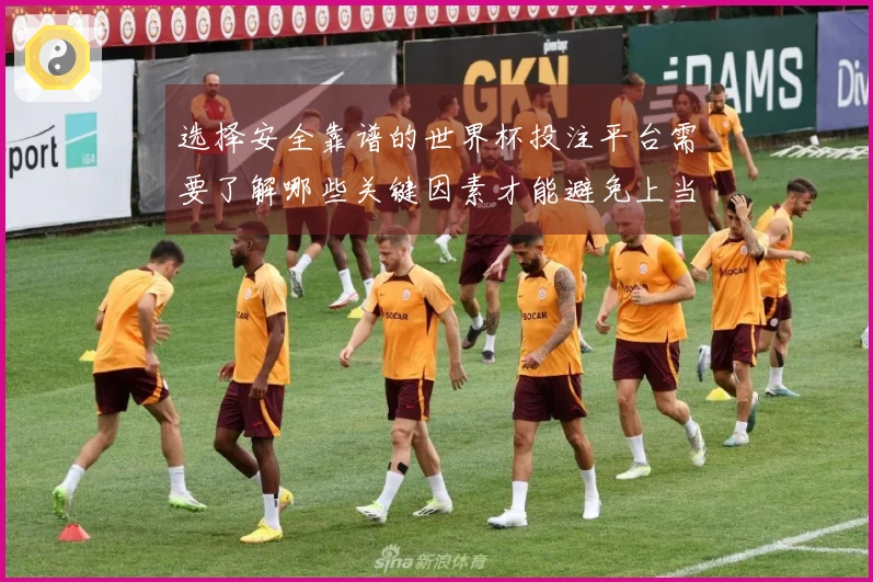 选择安全靠谱的世界杯投注平台需要了解哪些关键因素才能避免上当