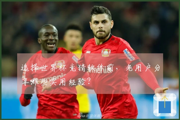 选择世界杯竞猜软件前，老用户分享哪些实用经验？