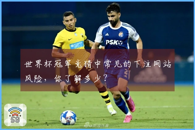 世界杯冠军竞猜中常见的下注网站风险，你了解多少？
