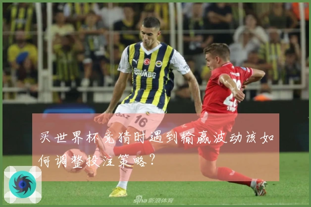 买世界杯竞猜时遇到输赢波动该如何调整投注策略？